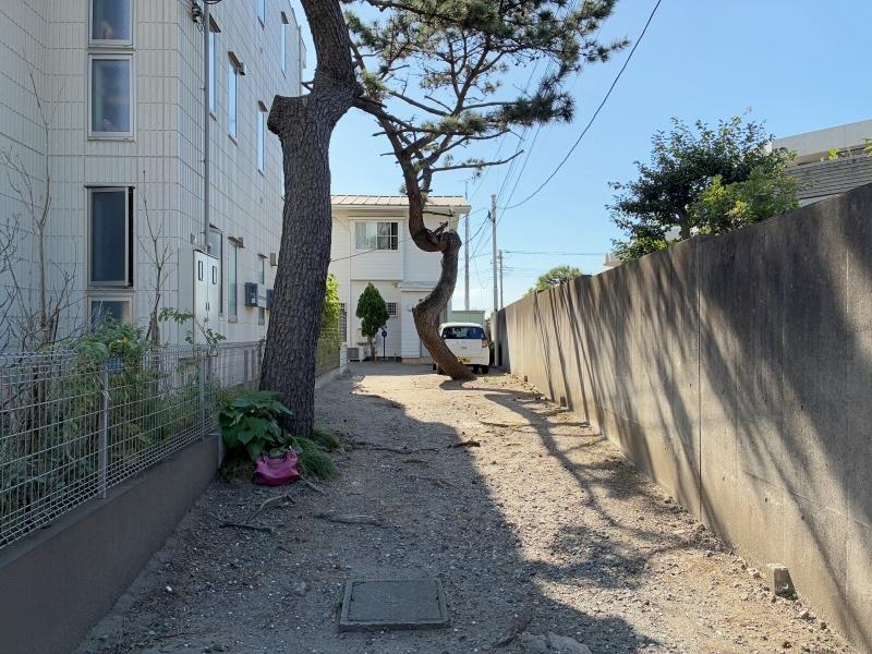 鎌倉市由比ガ浜四丁目の賃貸物件/アプローチ｜道路から続く砂敷きの通路。松がウネっと生えた先の広い空が海の存在を感じさせます