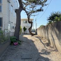 鎌倉市由比ガ浜四丁目の賃貸物件/アプローチ｜道路から続く砂敷きの通路。松がウネっと生えた先の広い空が海の存在を感じさせます