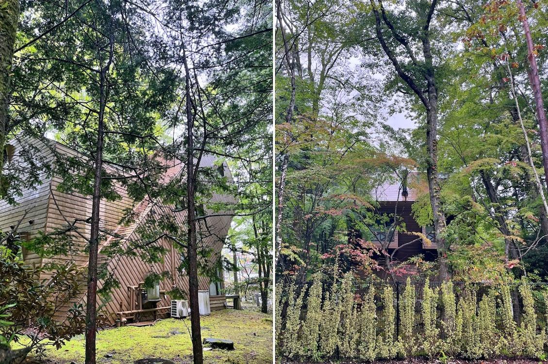 長野県北佐久郡軽井沢町軽井沢の売買物件