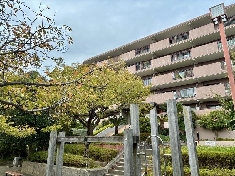 中郡大磯町大磯の賃貸物件/マンションの目の前の小さな公園から、マンションを見上げてみます