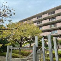 中郡大磯町大磯の賃貸物件/マンションの目の前の小さな公園から、マンションを見上げてみます