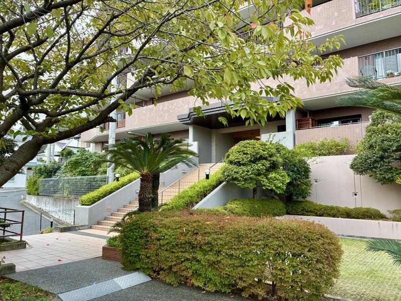 中郡大磯町大磯の賃貸物件/マンションのエントランス付近。桜の木が見事