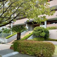 中郡大磯町大磯の賃貸物件/マンションのエントランス付近。桜の木が見事