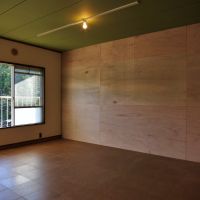 鎌倉市梶原五丁目の賃貸物件/コルクの床に天井はうぐいす色、壁はラワン合板で釘打ち歓迎のDIYウォール