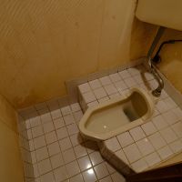 石川県金沢市山科三丁目の売買物件/1階トイレ（和）
