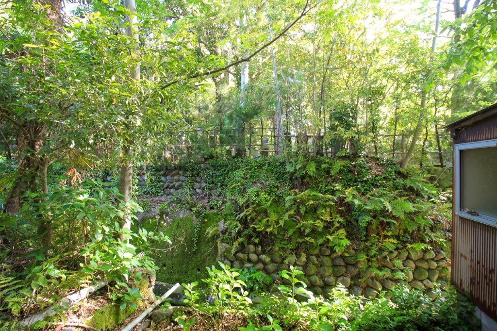 金沢市野町の賃貸物件/お隣の本覚寺の境内には金沢市指定保存樹木の大きなタブの木があります。