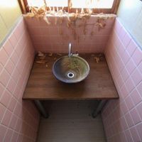 金沢市東山２丁目の賃貸物件/植物が入り込んだ形跡があるけど、なんとも味わい深く感じてしまう。