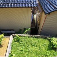 金沢市東山２丁目の賃貸物件/庭には陽光が良く入ります。そのため、草も元気になりやすい。