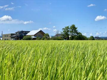 富山県高岡市西藤平蔵の売買物件/田んぼに浮かぶ家