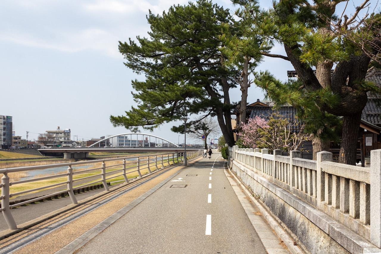 金沢市中央通町の賃貸物件/川沿いの公道にかかる指定保存樹のクロマツのアーチを通った先に本物件があります