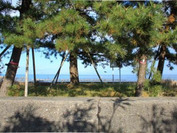 富山県射水市海老江練合字香海里の賃貸物件/【土地】海と公園のあいだ