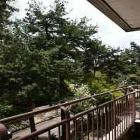 金沢市香林坊1丁目の賃貸物件/302ベランダ　緑が気持ち良いです