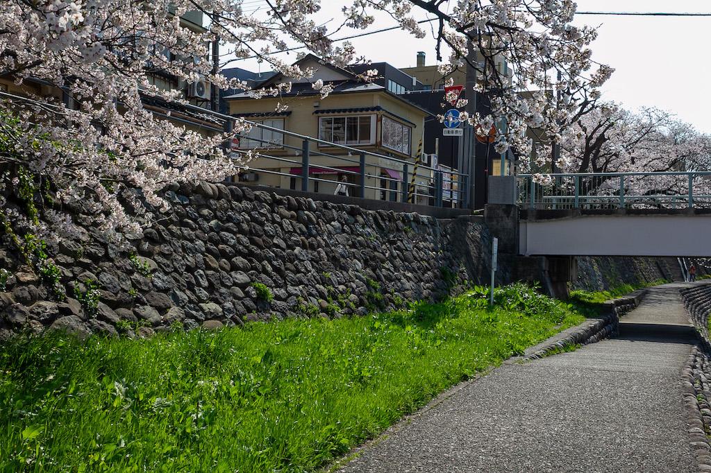 金沢市片町の賃貸物件/桜の時期に撮影した本物件