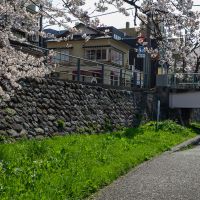 金沢市片町の賃貸物件/桜の時期に撮影した本物件