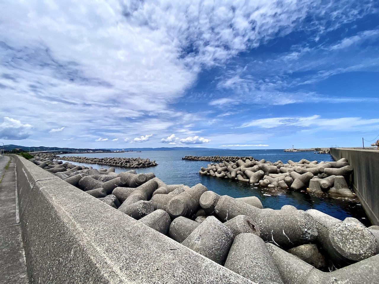 富山県射水市八幡町の売買物件/奈呉の浦大橋が見えます