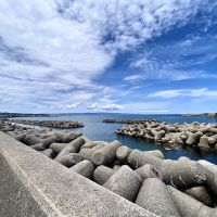 富山県射水市八幡町の売買物件/奈呉の浦大橋が見えます