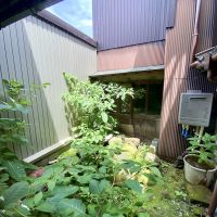 金沢市此花町の賃貸物件/この中庭をどう生かすか