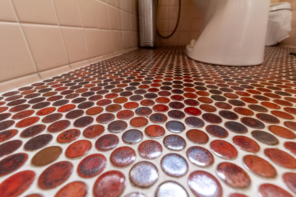金沢市寺町5丁目の賃貸物件/トイレのタイルの釉薬が可愛いです