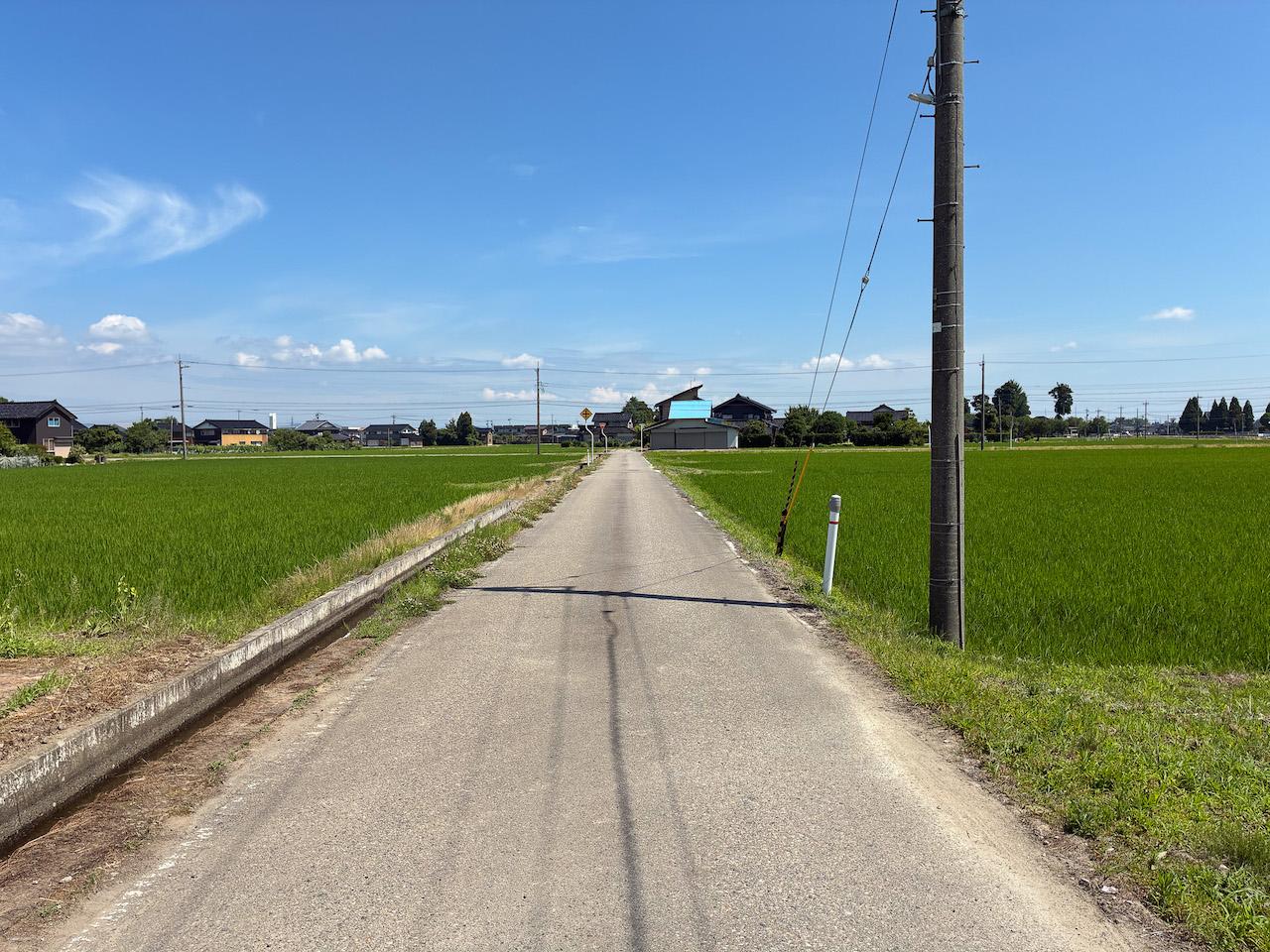 富山県砺波市の売買物件/前面の道路