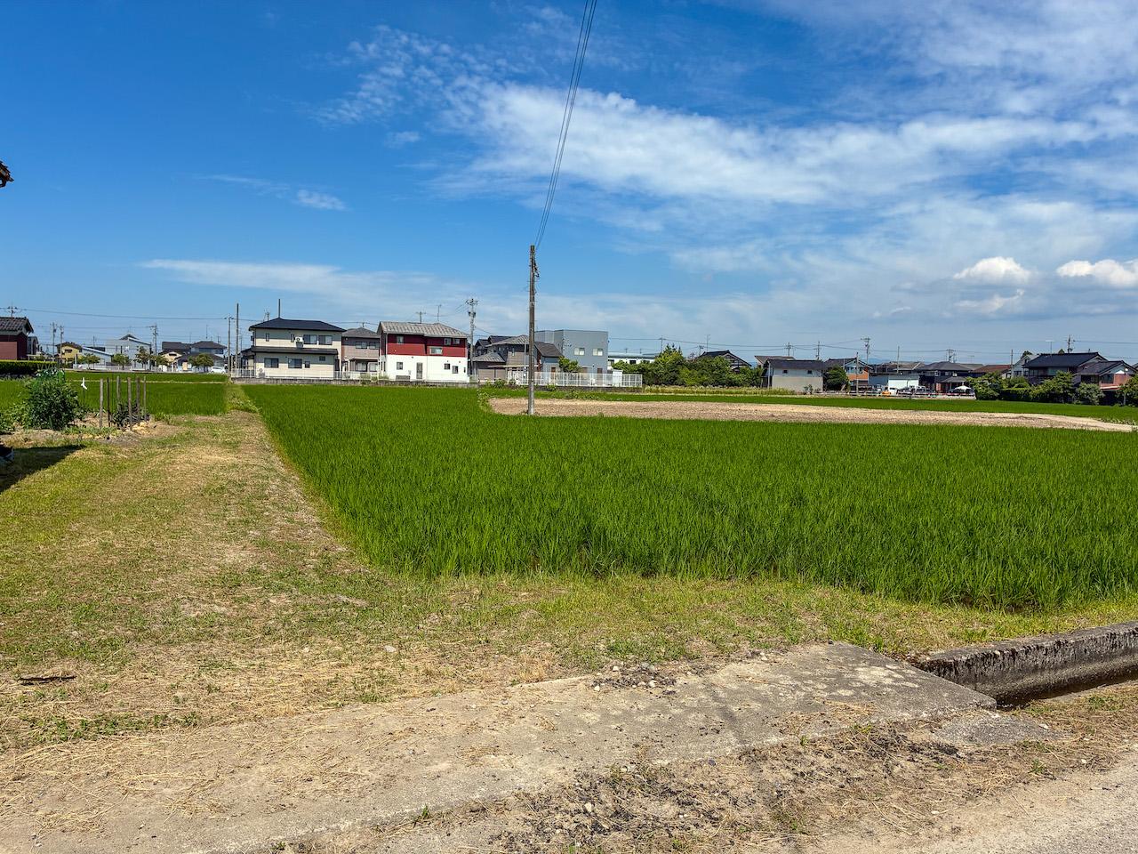 富山県砺波市の売買物件/田んぼ　約2299.60坪