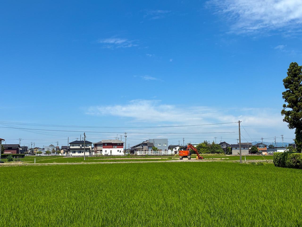 富山県砺波市の売買物件/隣の田んぼ奥から本物件を見る。