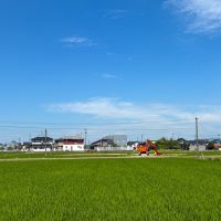富山県砺波市の売買物件/隣の田んぼ奥から本物件を見る。