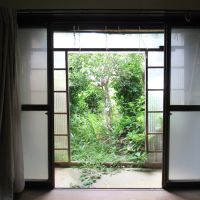 金沢市野町の賃貸物件/緑の壁のよう
こちらも土間が嬉しい