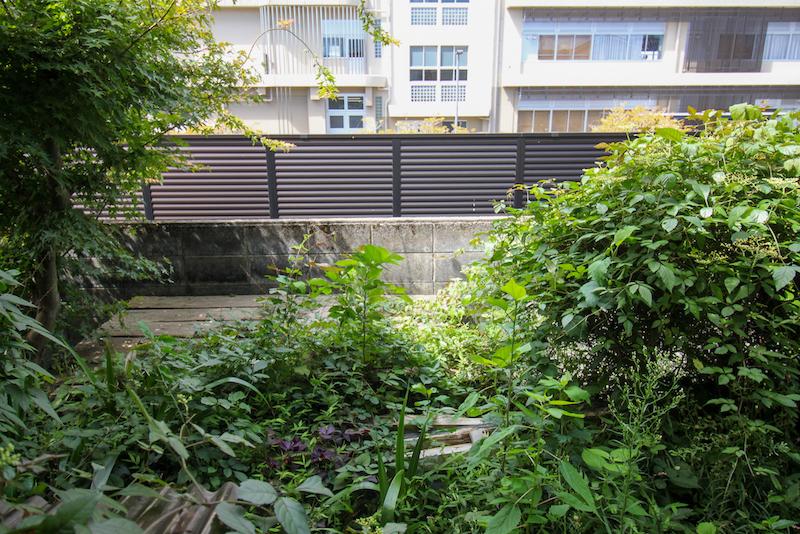 金沢市野町の賃貸物件/庭も自分好みに手入れしたい