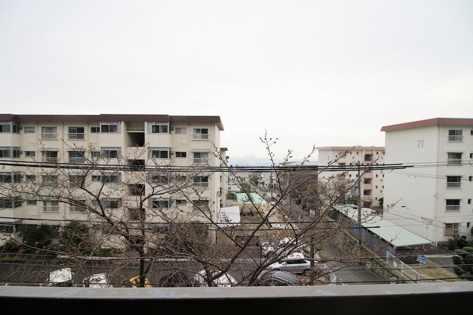 神戸市灘区鶴甲の賃貸物件/桜と海を望む眺望