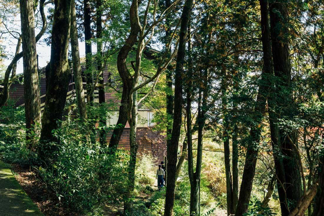 神戸市灘区六甲山町西谷山の賃貸物件/山の中にある本社