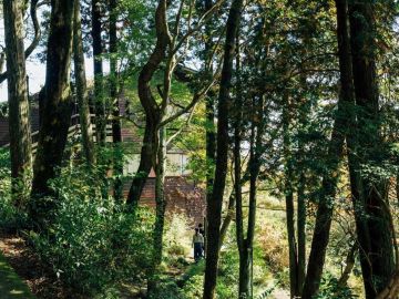 神戸市灘区六甲山町西谷山の賃貸物件/本社は森の中