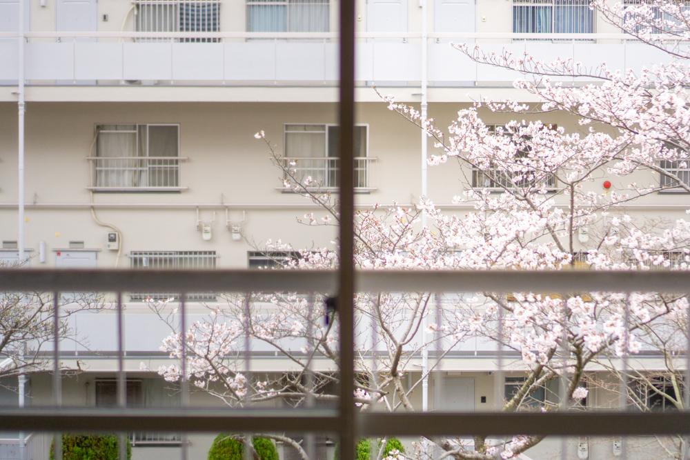 神戸市灘区鶴甲の賃貸物件/2階南側の窓から