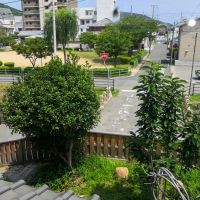 赤穂市　の売買物件/川向かいには公園があります