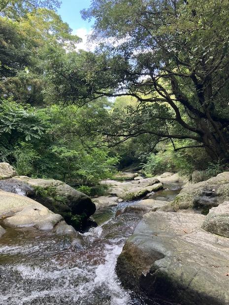 神戸市兵庫区千鳥町1丁目の賃貸物件/六甲縦走路への登山口までの道は秘境と呼んでます。