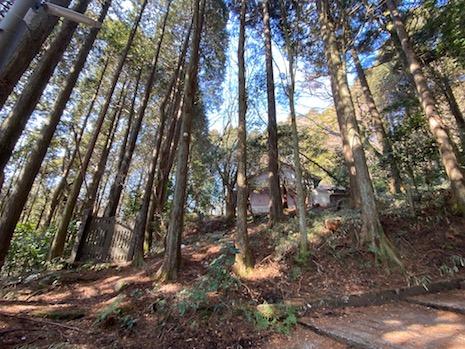 神戸市灘区六甲山町西谷山の売買物件/木立と建物のコントラスト