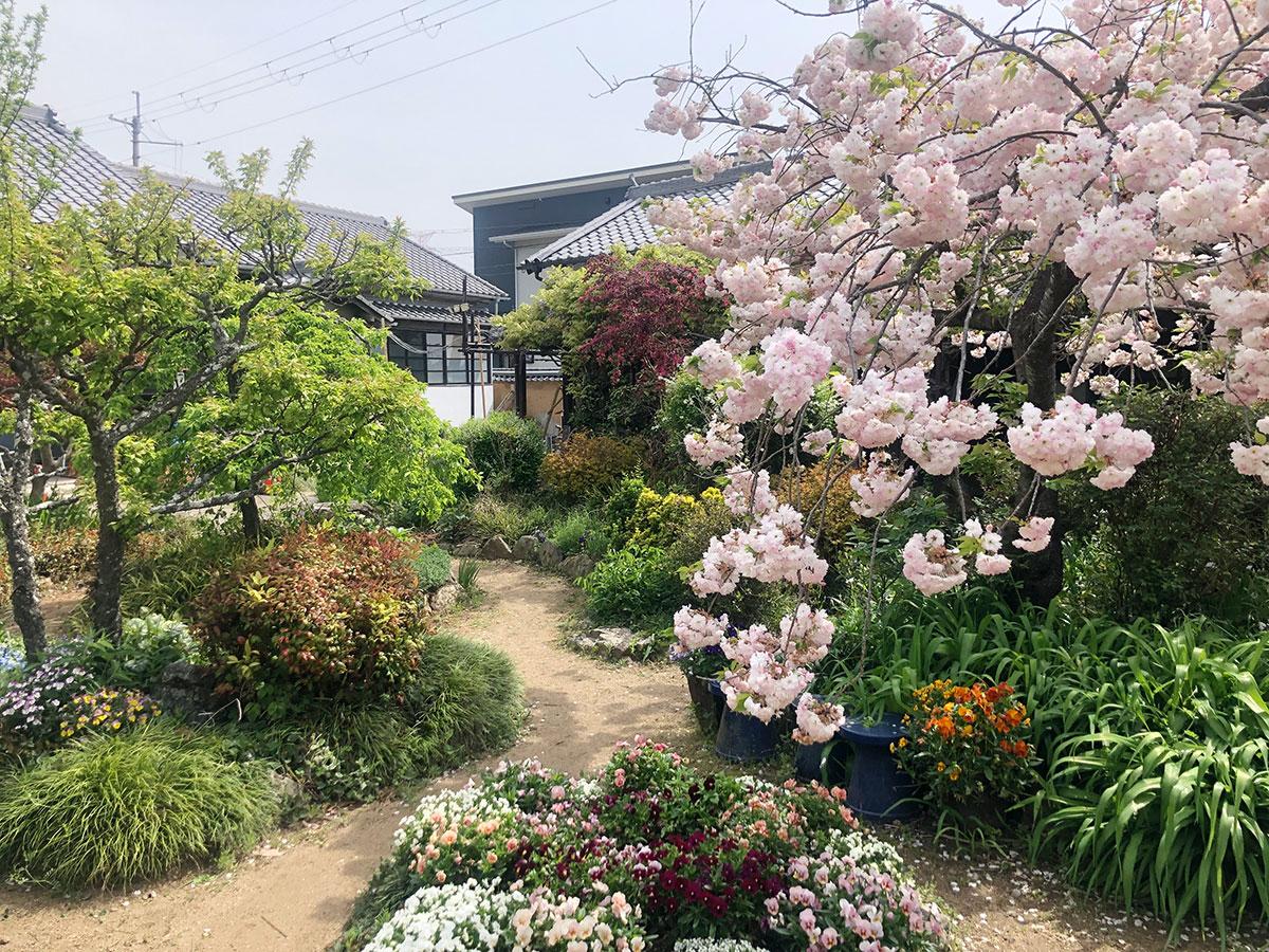 神崎郡福崎町の賃貸物件/木々が植る中庭