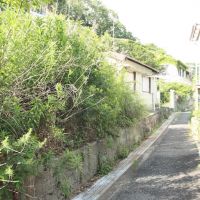 神戸市兵庫区里山町の売買物件/前の細道