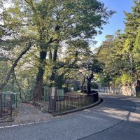 神戸市垂水区舞子台の売買物件/すぐ目の前に緑豊かな公園