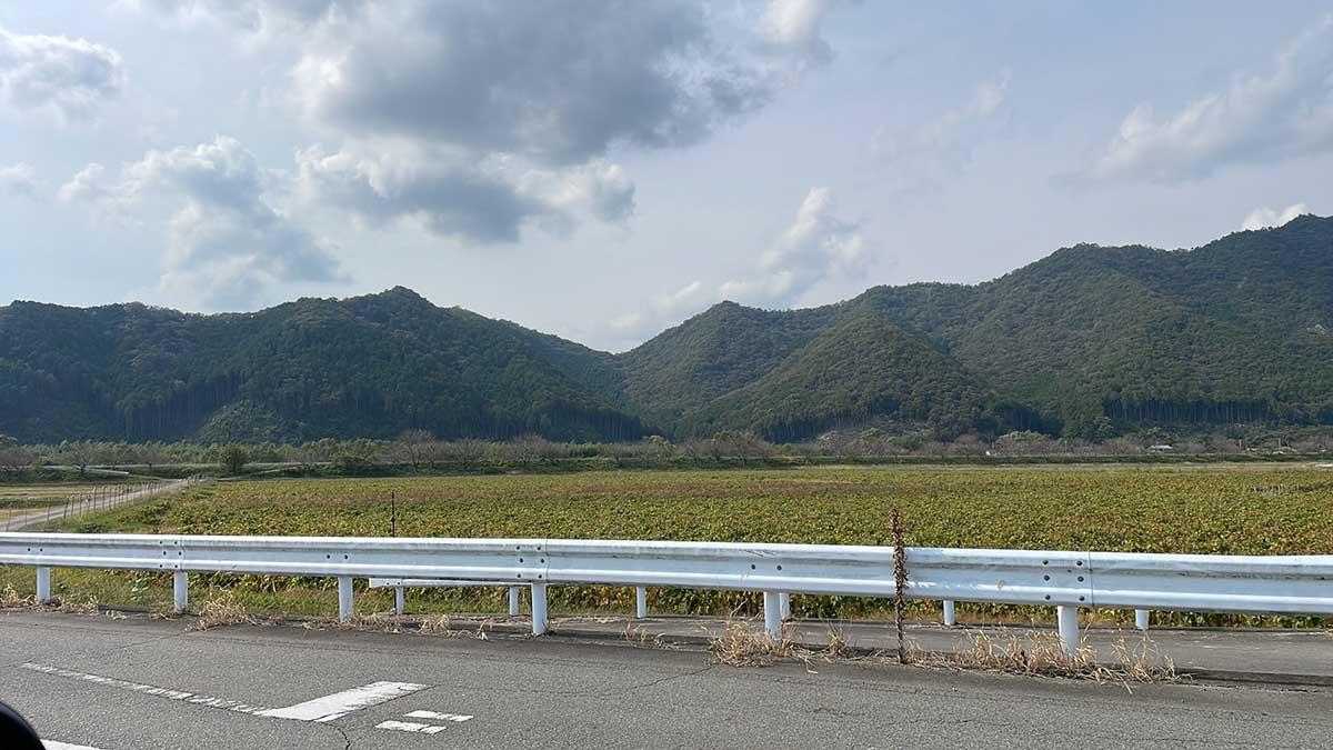 丹波市山南町の賃貸物件/里山の風景
