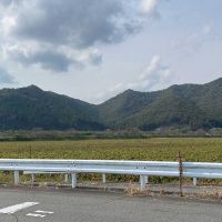 丹波市山南町の賃貸物件/里山の風景