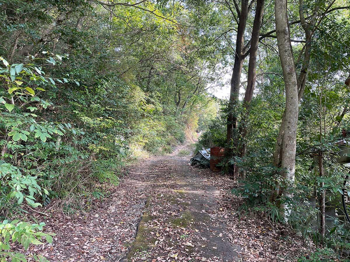 神戸市北区山田町下谷上字中一里山の売買物件/物件前の道