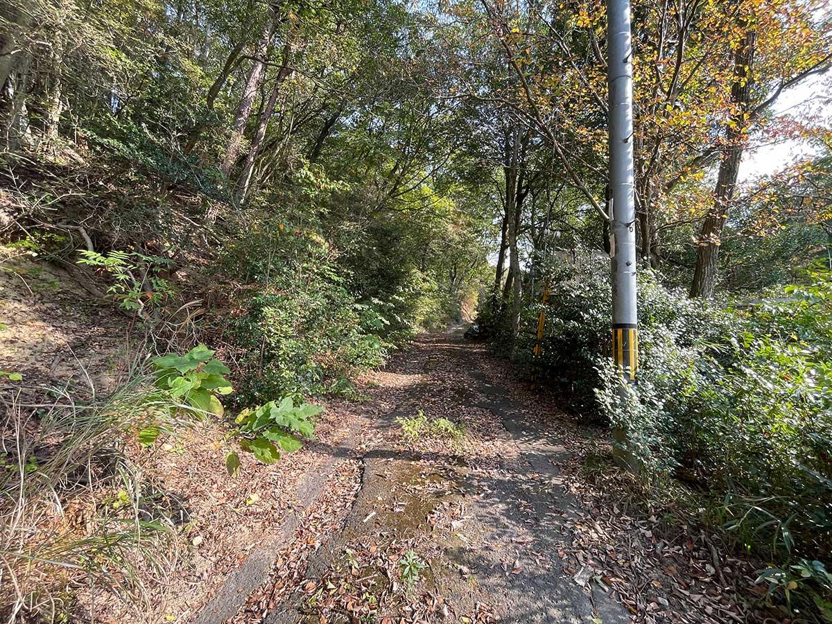 神戸市北区山田町下谷上字中一里山の売買物件/物件前の道
