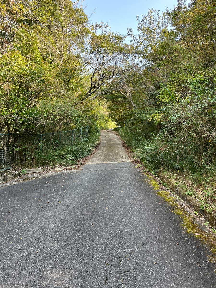 神戸市北区山田町下谷上字中一里山の売買物件/物件前の道