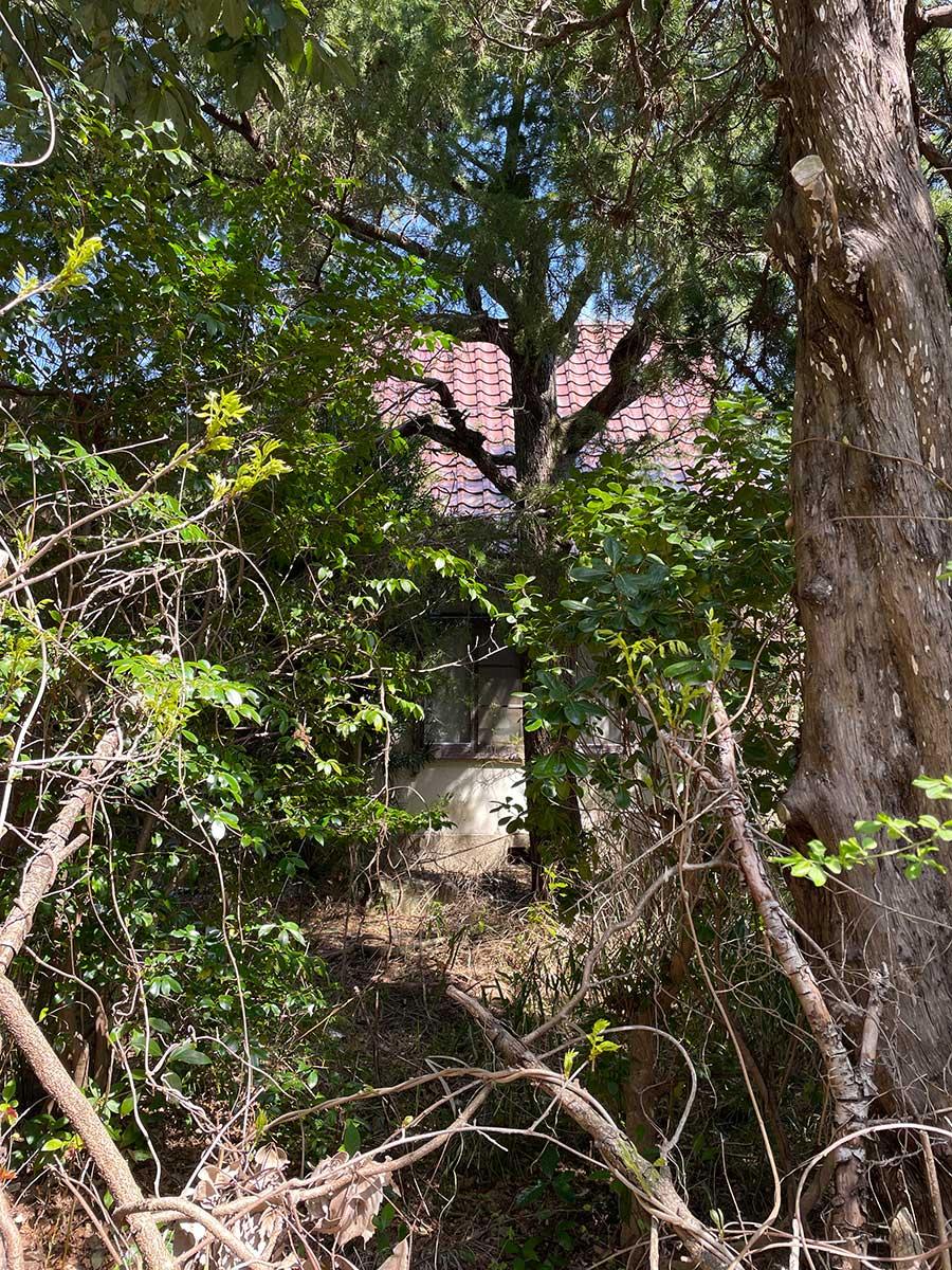 神戸市北区鈴蘭台西町の売買物件/木々に隠れて