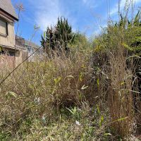 神戸市北区鈴蘭台西町の売買物件/雑草で見えませんが十分な広さがあります。