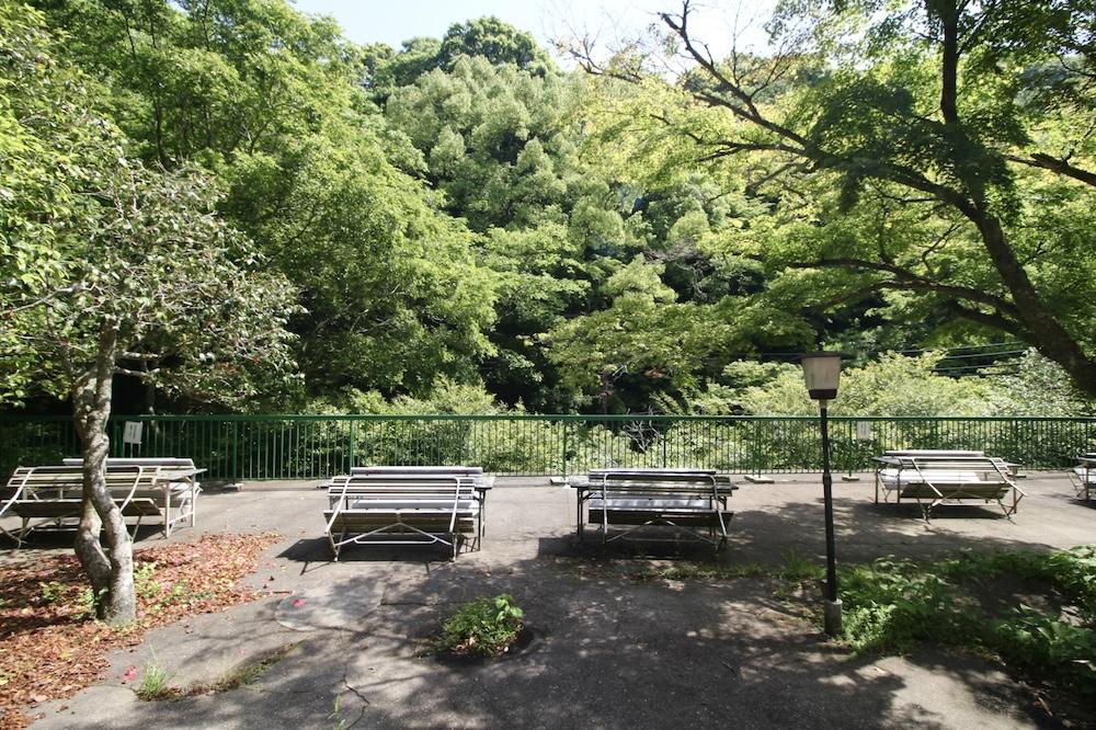 神戸市中央区神戸港地方字再度谷の売買物件/緑豊かな自然に囲まれた、心安らぐ広いテラス席