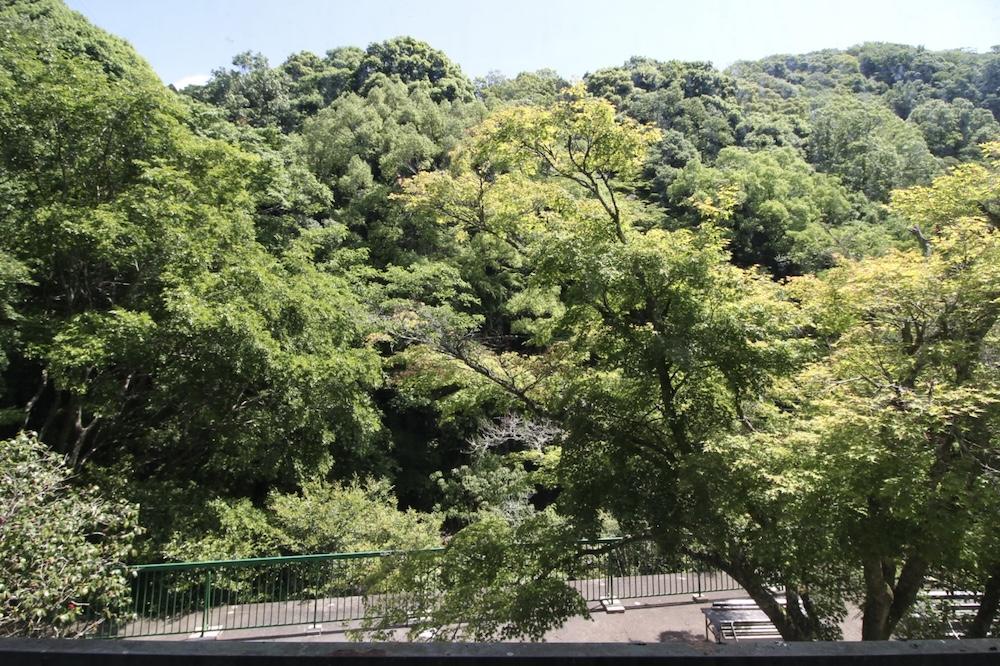 神戸市中央区神戸港地方字再度谷の売買物件/2階からの景色も圧巻です