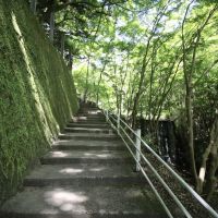 神戸市中央区神戸港地方字再度谷の売買物件/物件までのアプローチは森林浴スポット
