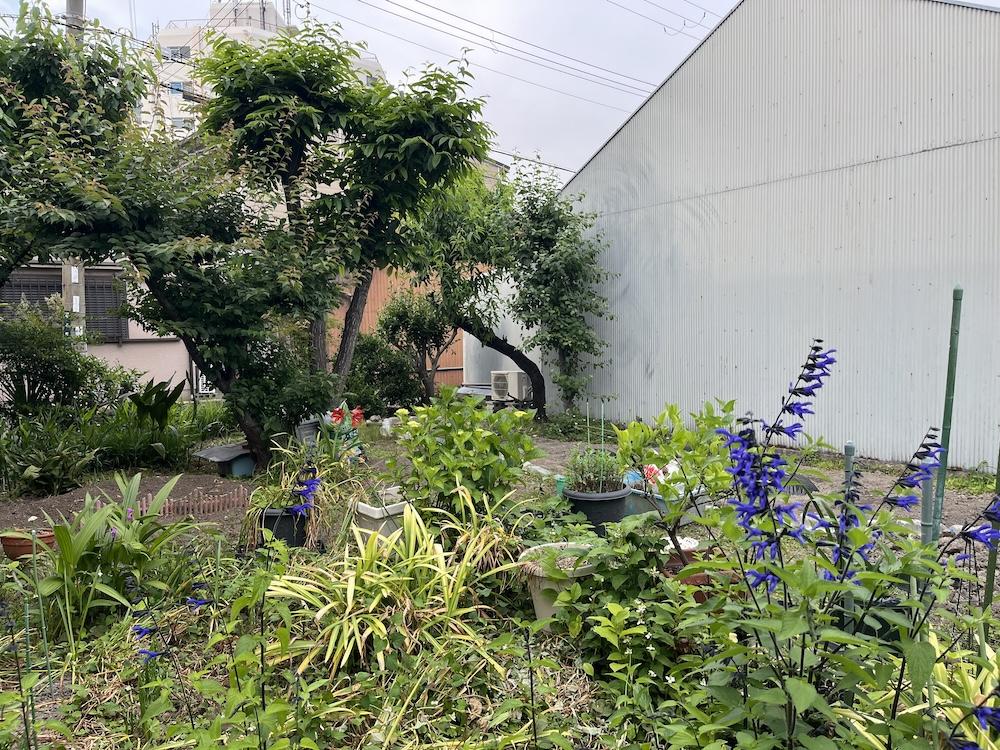 神戸市兵庫区矢部町の賃貸物件/近所にある空き地で畑もできます。