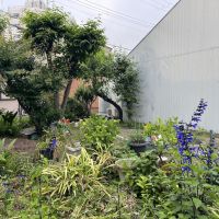 神戸市兵庫区矢部町の賃貸物件/近所にある空き地で畑もできます。